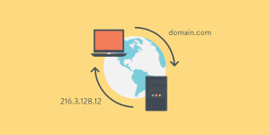 dns la gi